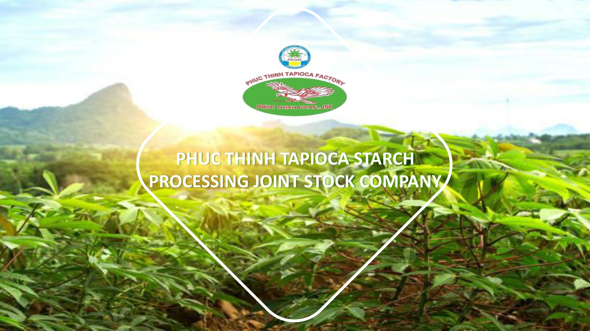 [주한베트남대사관] 베트남 타피오카 전분 및 카사바 원료 생산 및 가공 업체 소개