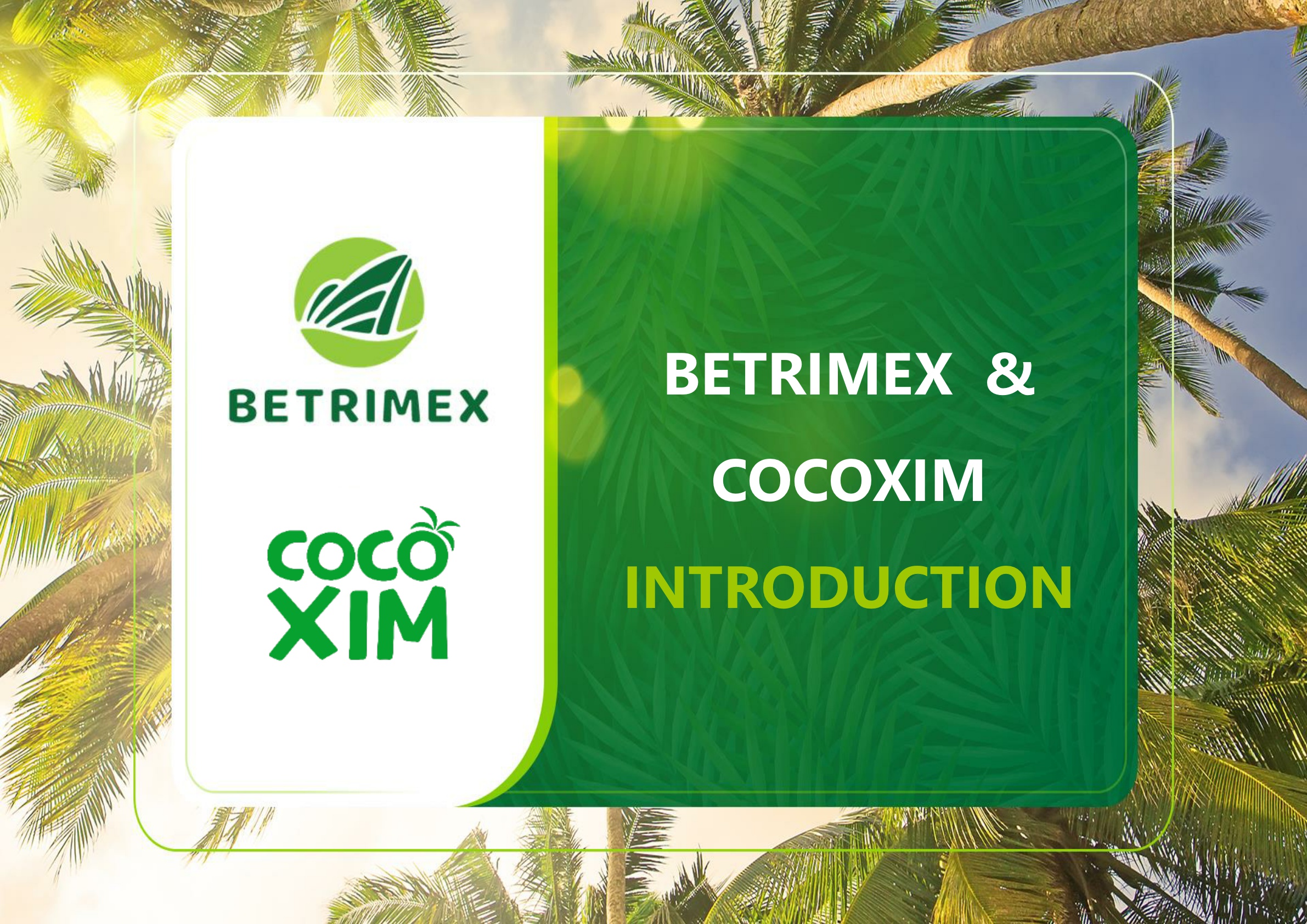 [주한베트남대사관]베트남 코코넛 제조업체 소개