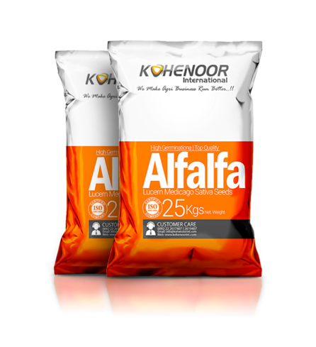 파키스탄 농산물 수출업체 KOHENOOR INTERNATIONAL 소개